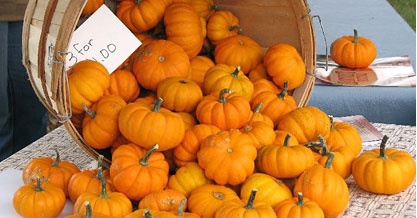 Annual Harvest Event