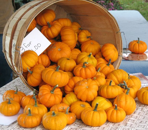 Harvest Events